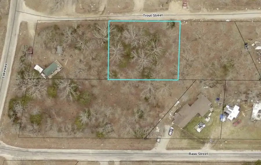 140 Trout Street, Kissee Mills, MO 65680 - #2