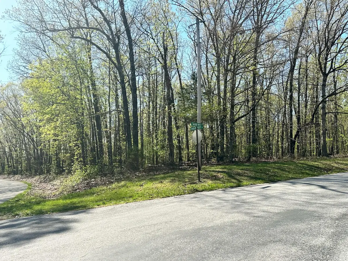 L42a & 43a Eaglecrest Road, Cape Fair, MO 65624 - #1