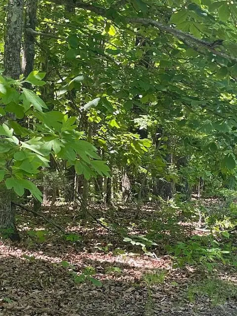 L42a & 43a Eaglecrest Road, Cape Fair, MO 65624 - #2