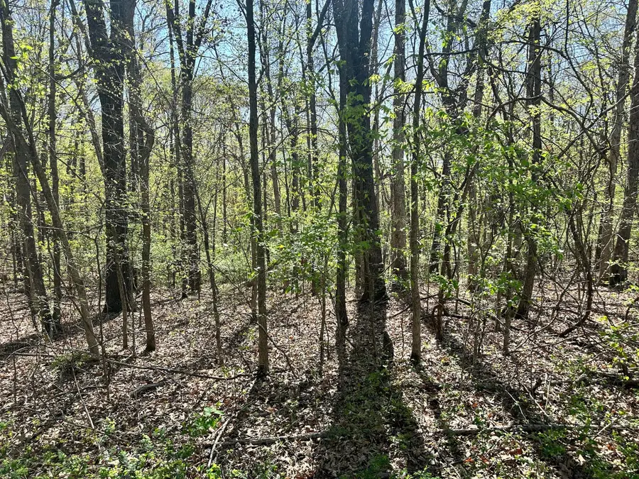 L42a & 43a Eaglecrest Road, Cape Fair, MO 65624 - #3