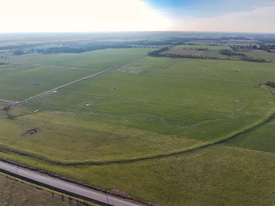 13734 Raccoon Road, Granby, MO 64844 - #2