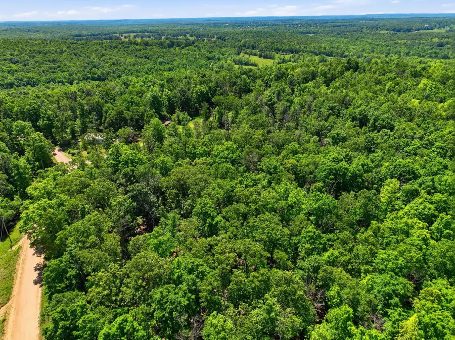 Tbd County Road 101, Alton, MO 65606 - #3