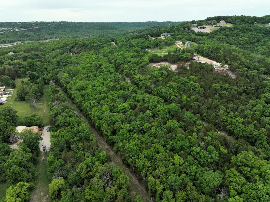 Tbd Windy Heron Lane, Reeds Spring, MO 65737 - #3