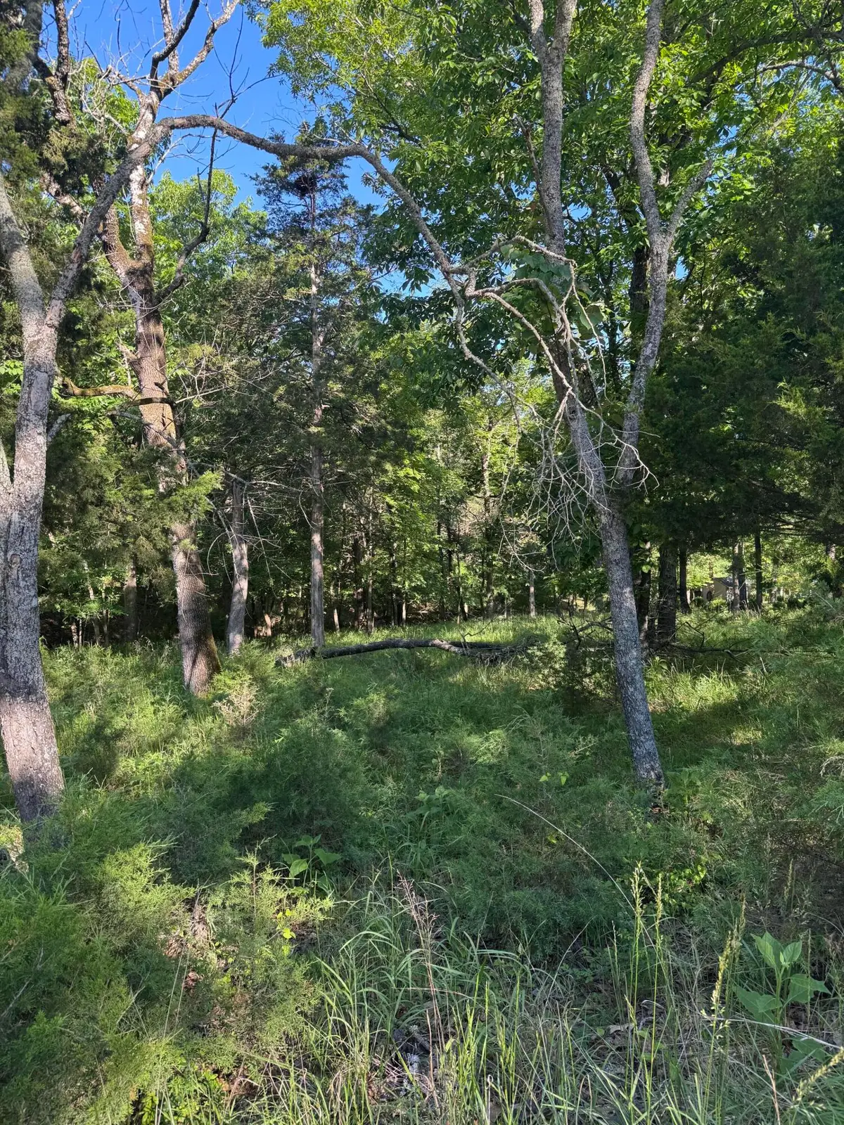 Lot 85 Cliff Drive, Golden, MO 65658 - #1