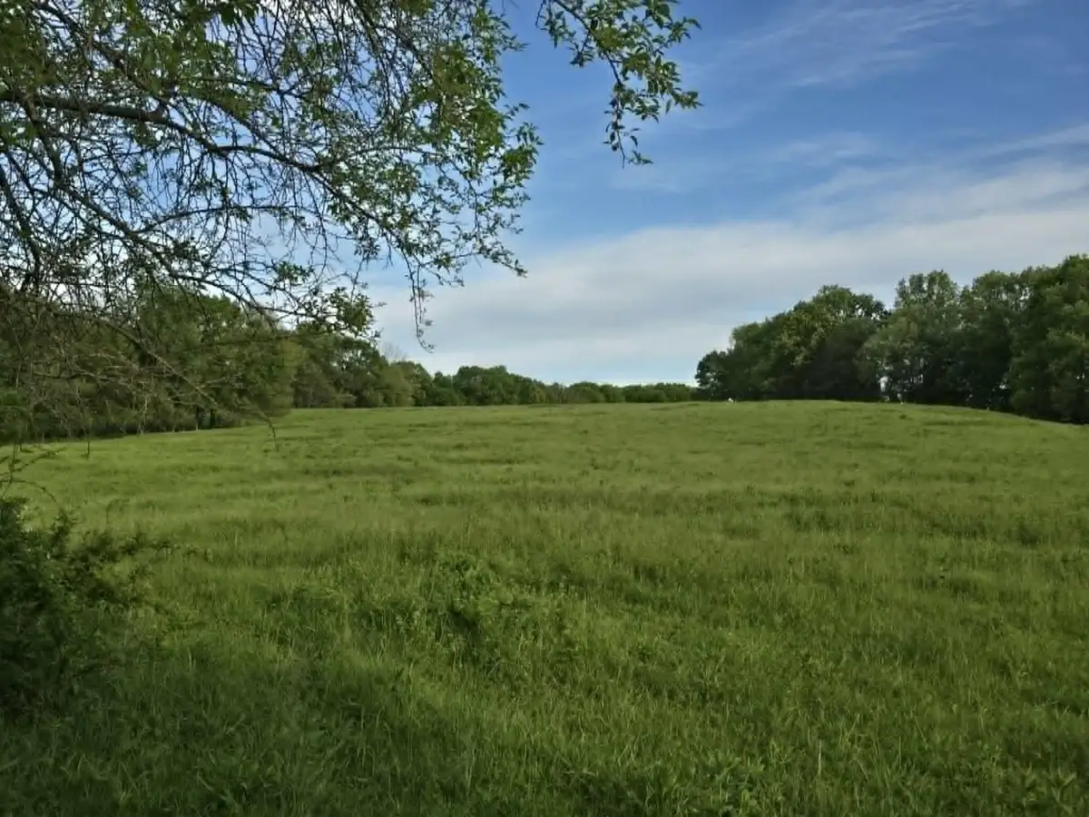 000 State Highway N, Clinton, MO 64735 - #1