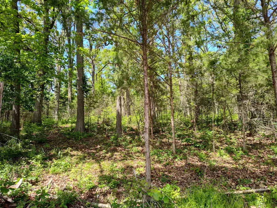 000 Woodland Drive, Buffalo, MO 65622 - #3