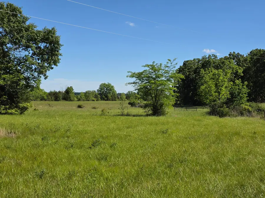 000 W U.s. 160, West Plains, MO 65775 - #2
