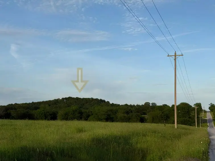 1373 E 470th Road, Bolivar, MO 65613 - #3