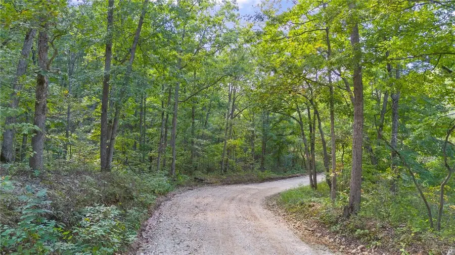 80+/-Acres Proctor Lane, Gravois Mills, MO 65037 - #2