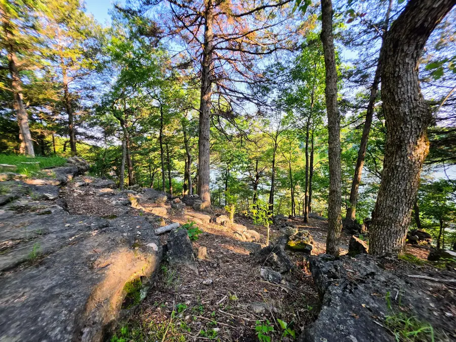 18679 Private Road 2261, Eagle Rock, MO 65641 - #2