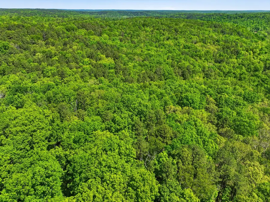 15601 Boiling Springs Road, Licking, MO 65542 - #3