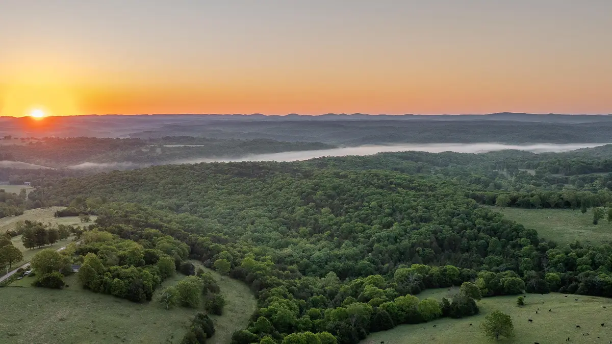 000 County Rd 855, Thornfield, MO 65762 - #1