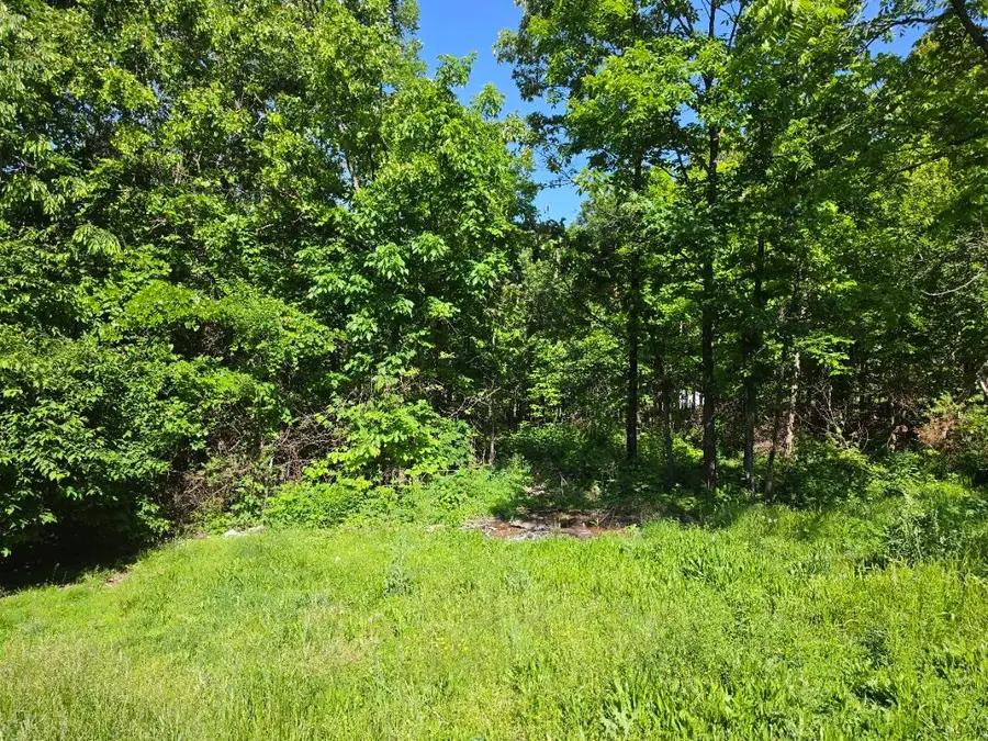 11 Private Road Aa-84, Alton, MO 65606 - #2