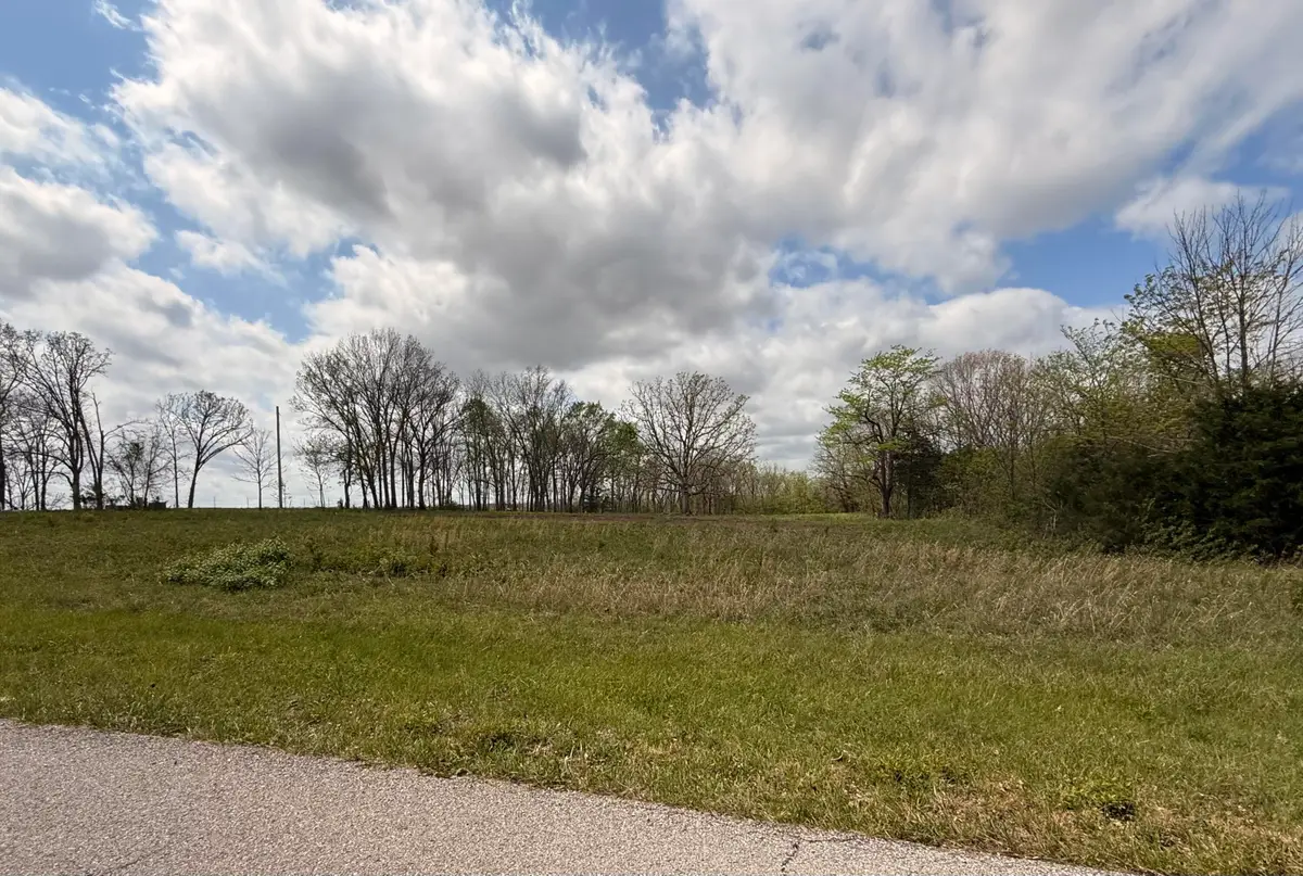 1002 Dys Drive Drive, Cabool, MO 65689 - #1