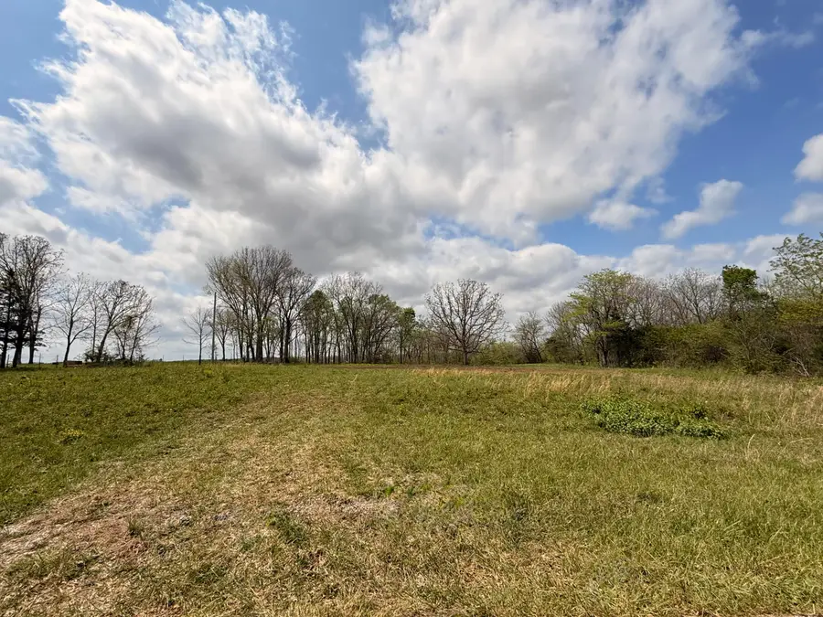 1002 Dys Drive Drive, Cabool, MO 65689 - #2