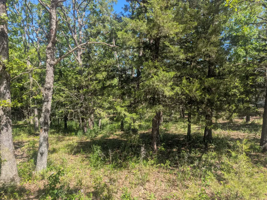 000 Cedar Haven Circle, Pittsburg, MO 65724 - #2