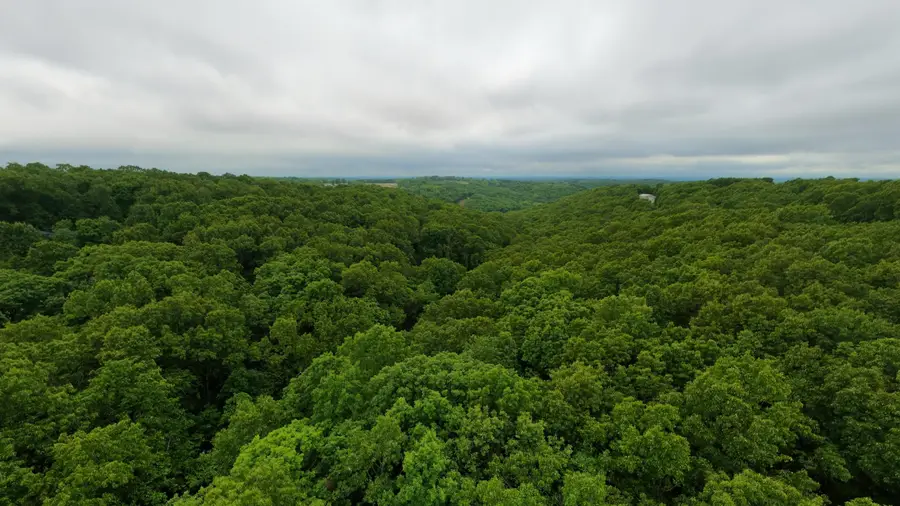Tbd Devils Pool Rd, Ridgedale, MO 65739 - #3