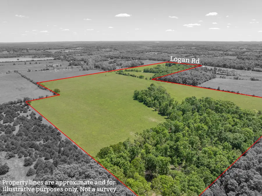 000 Logan Road, Hartville, MO 65667 - #2