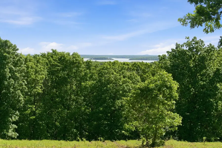 000 1481 Road, Stockton, MO 65785 - #3