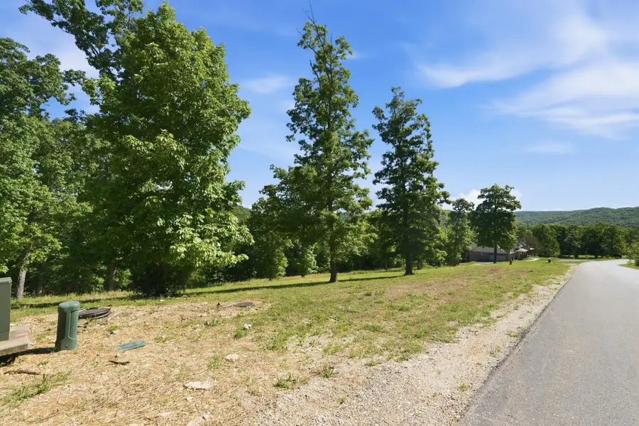 115a,117 Valley Drive, Saddlebrooke, MO 65630 - #2