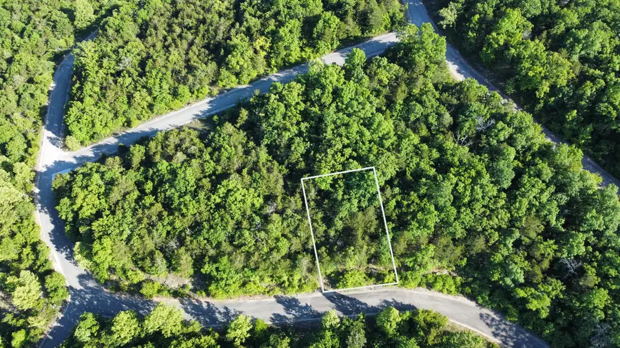 000 Syler Circle Lot 233 Circle #233, Hollister, MO 65672 - #2