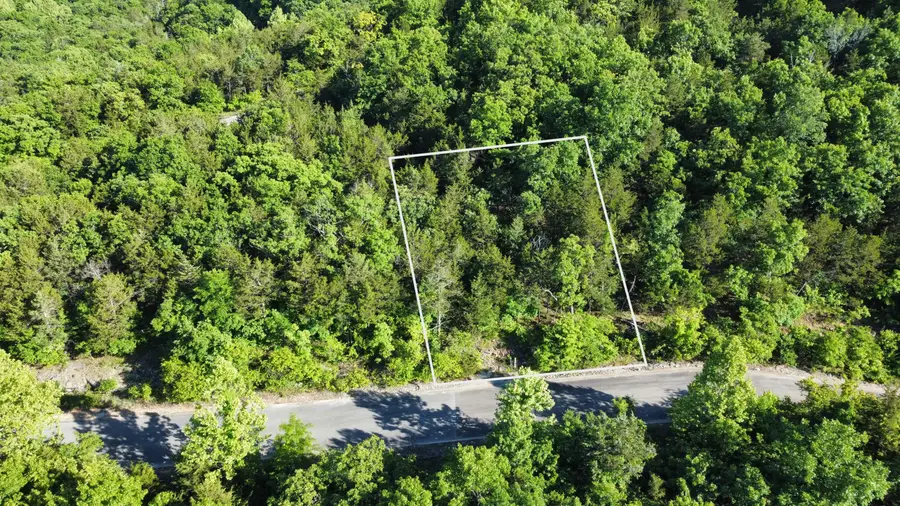 000 Syler Circle Lot 233 Circle #233, Hollister, MO 65672 - #3