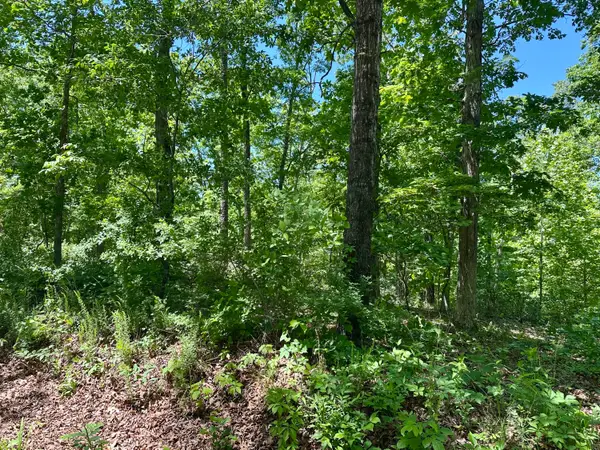 000 Bass Rock Lot 3 Drive, Van Buren, MO 63965