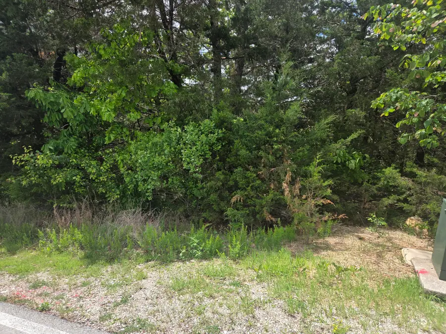 178 Black Forest Lane, Reeds Spring, MO 65737 - #2