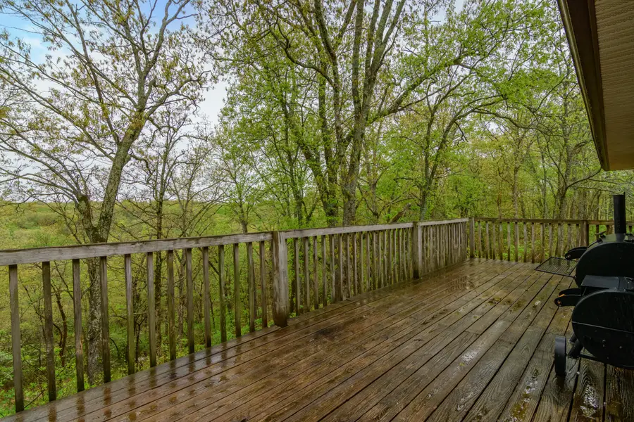 728 Pheasant Drive, Oldfield, MO 65720 - #2