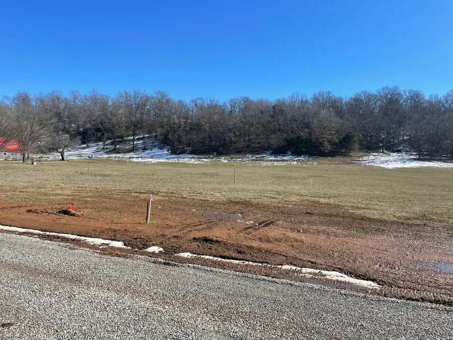 Lot 10 Cottage Brook Circle, Anderson, MO 64831 - #2
