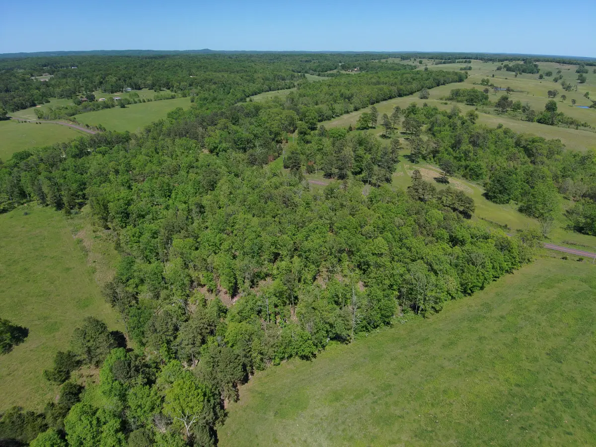 000 State Highway Z, Willow Springs, MO 65793 - #1