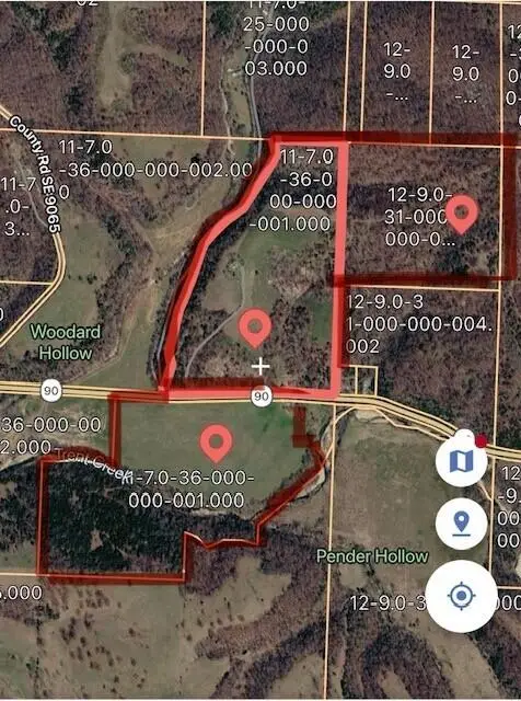 15309 E State Highway 90, Washburn, MO 65772 - #3