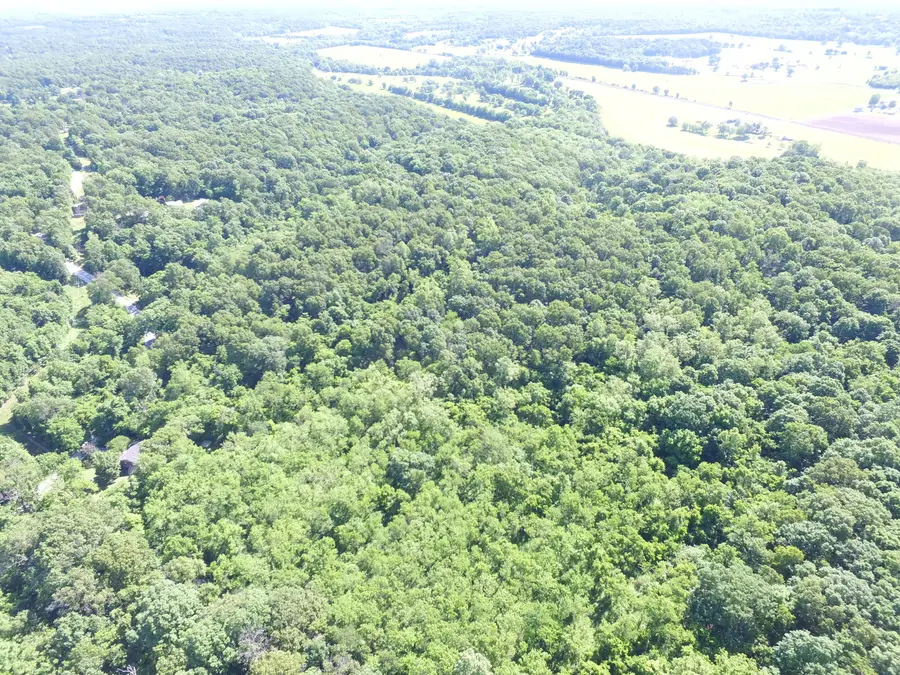 10961 Moose Drive, Neosho, MO 64850 - #3
