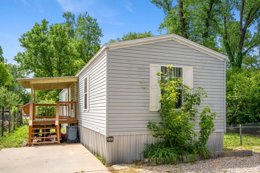 161 Ashland Drive, Branson, MO 65616 - #2
