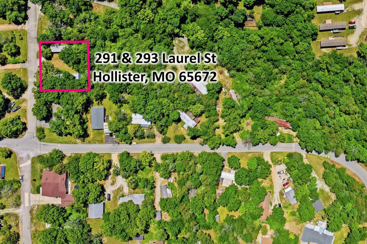 291 293 Laurel Street, Hollister, MO 65672 - #1