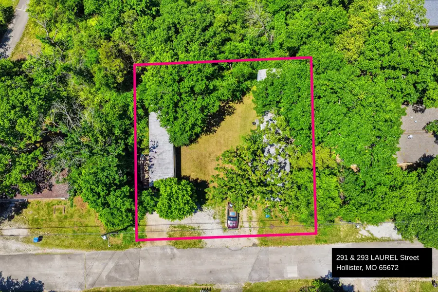 291 293 Laurel Street, Hollister, MO 65672 - #2