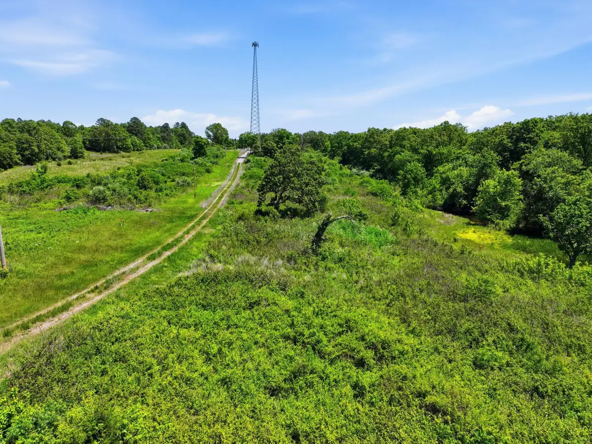 2810 County Road 2390, Mountain View, MO 65548 - #1