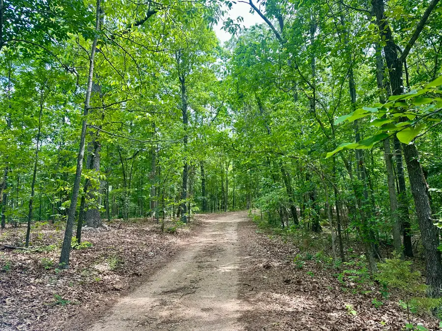 000 Needle's Eye Trail, Mammoth Spring, AR 72554 - #2