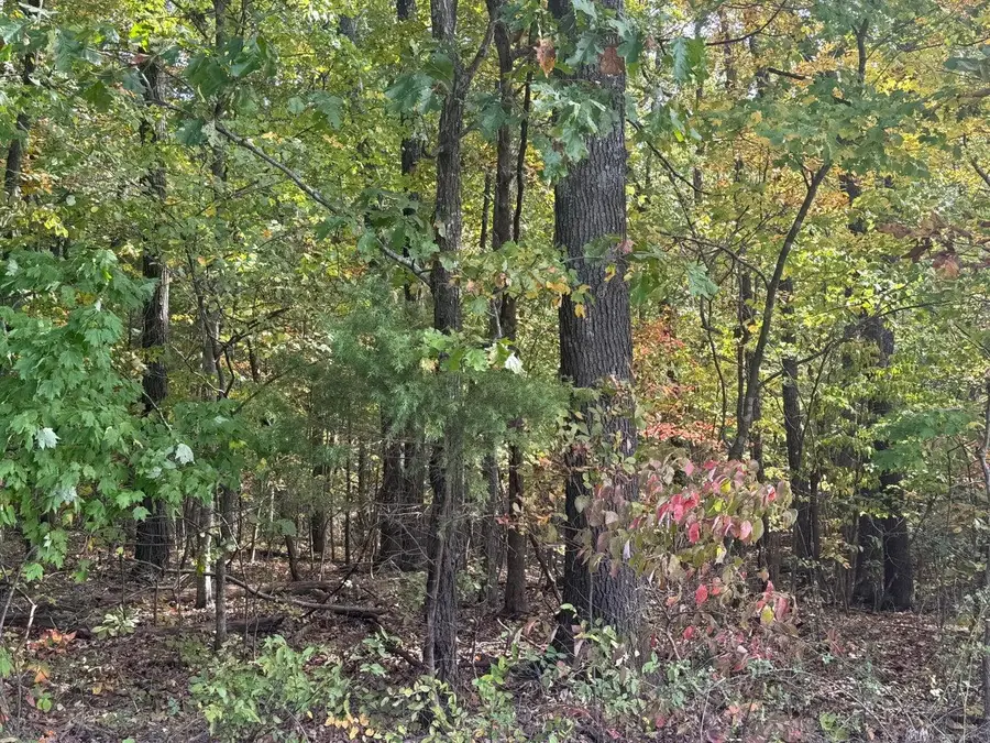 3922 Girlstown Road, Mountain Grove, MO 65711 - #2