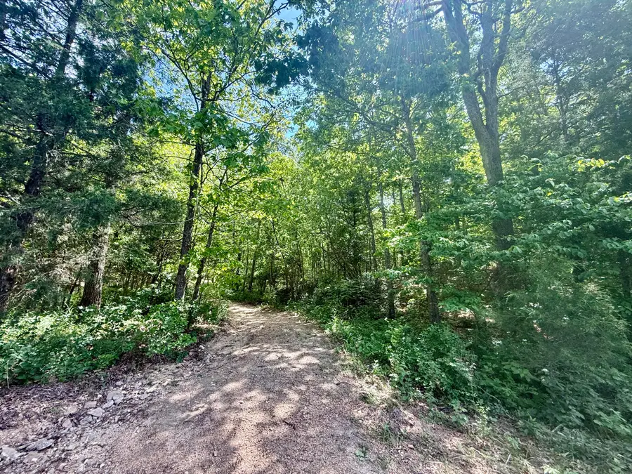 000 Bailey Road, Licking, MO 65542 - #2