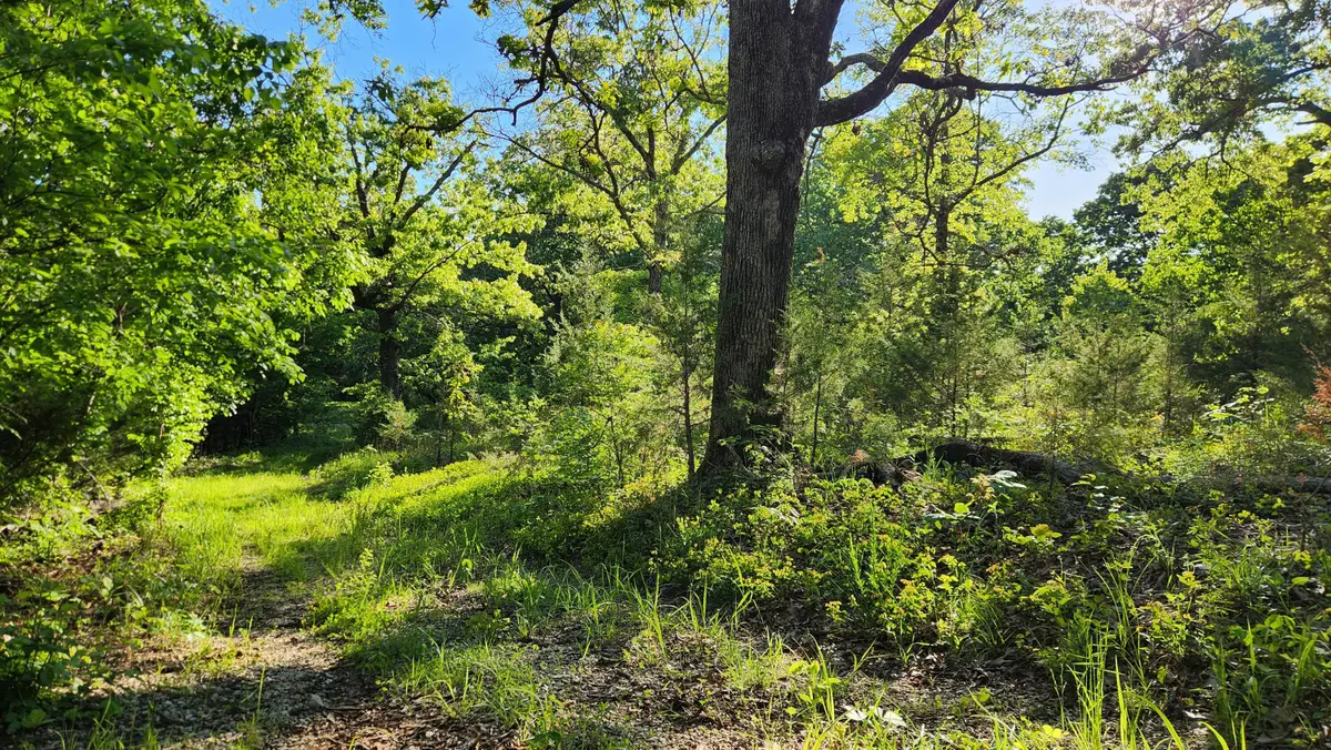 542 State Highway U, Clever, MO 65631 - #1