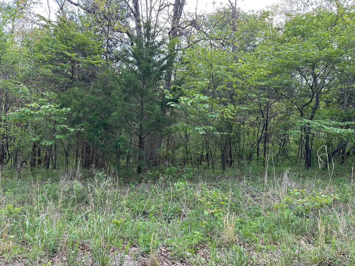000 Falling Rock Road, Elkland, MO 65644 - #1