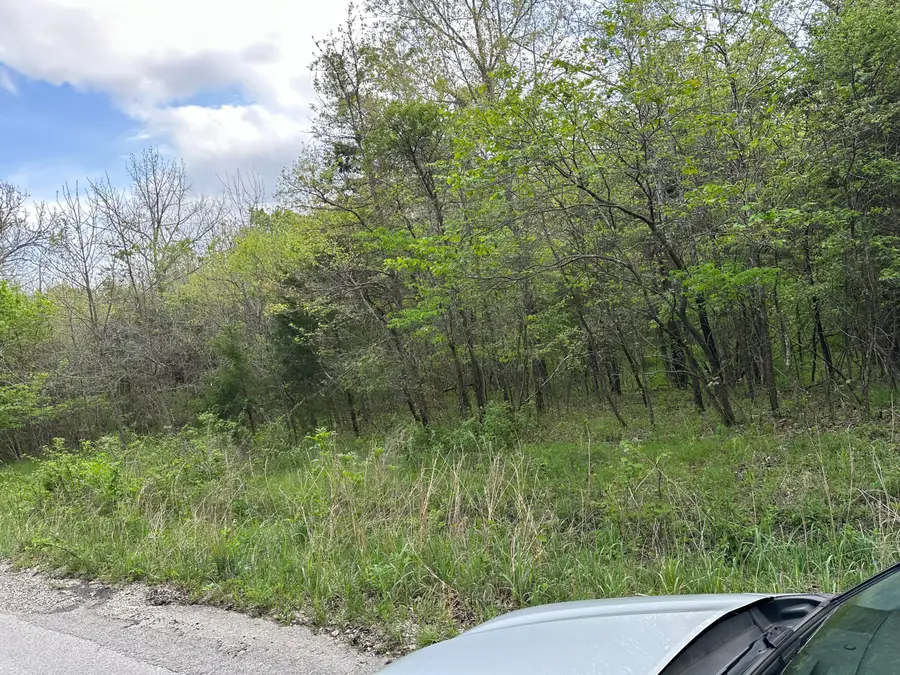 000 Falling Rock Road, Elkland, MO 65644 - #3