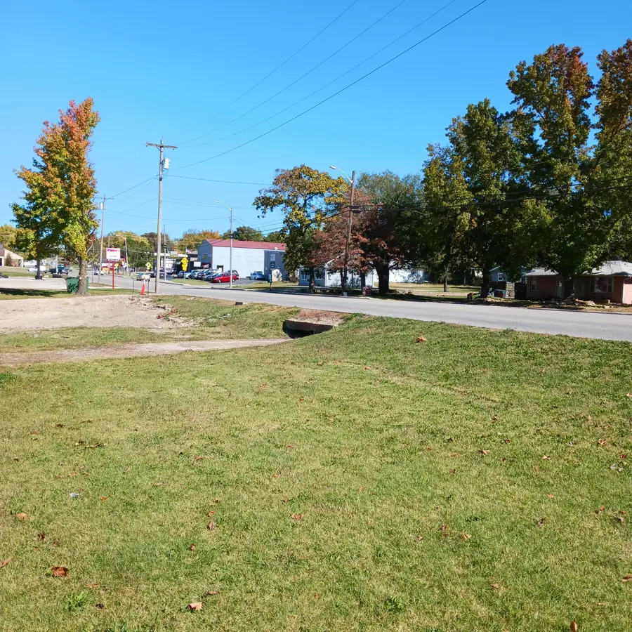 1003 N Jefferson Street #Parcels 1 & 2, Ava, MO 65608 - #3