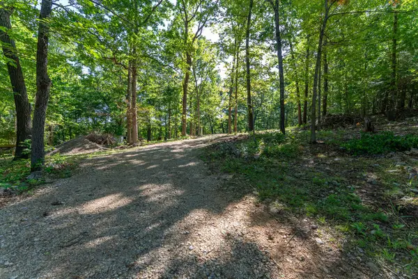 910 Marion County 7097, Flippin, AR 72634