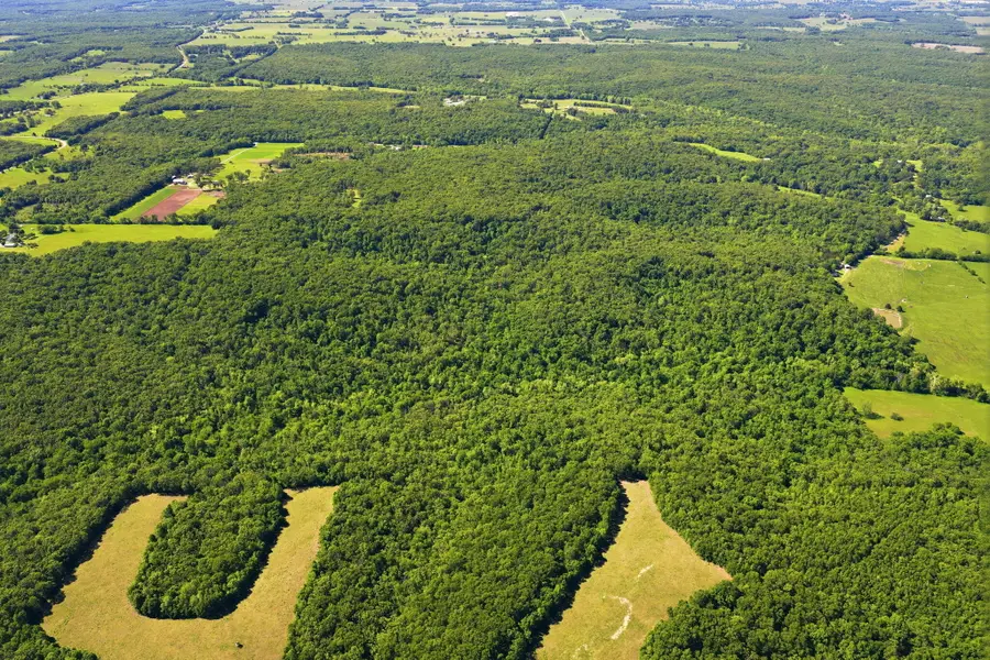 000 Angus Road, Edwards, MO 65326 - #2
