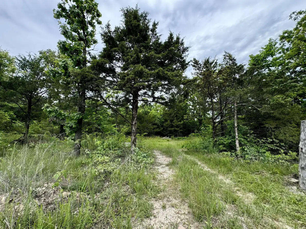 000 Cottengim Road, Macomb, MO 65702 - #1