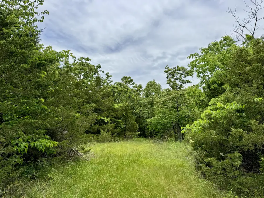 000 Cottengim Road, Macomb, MO 65702 - #2