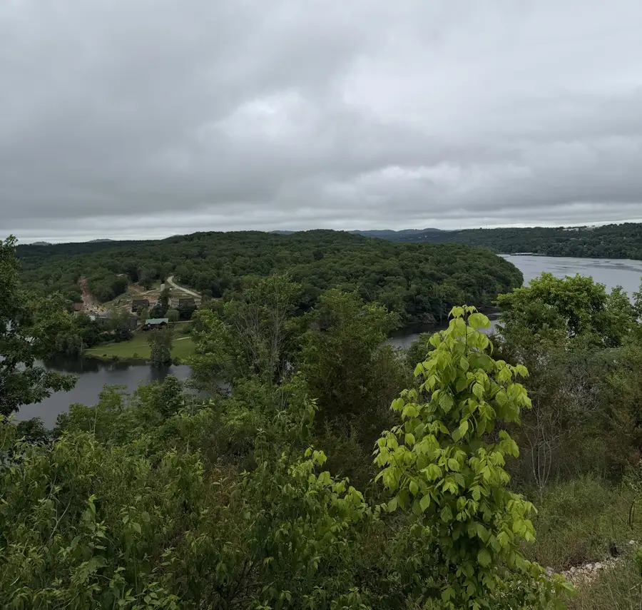 1348 State Highway Y #Lot 12, Forsyth, MO 65653 - #3