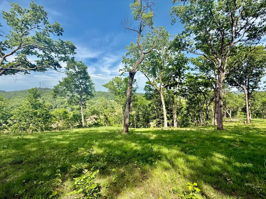 Tract 6 Circle B Road, Eminence, MO 65466 - #2